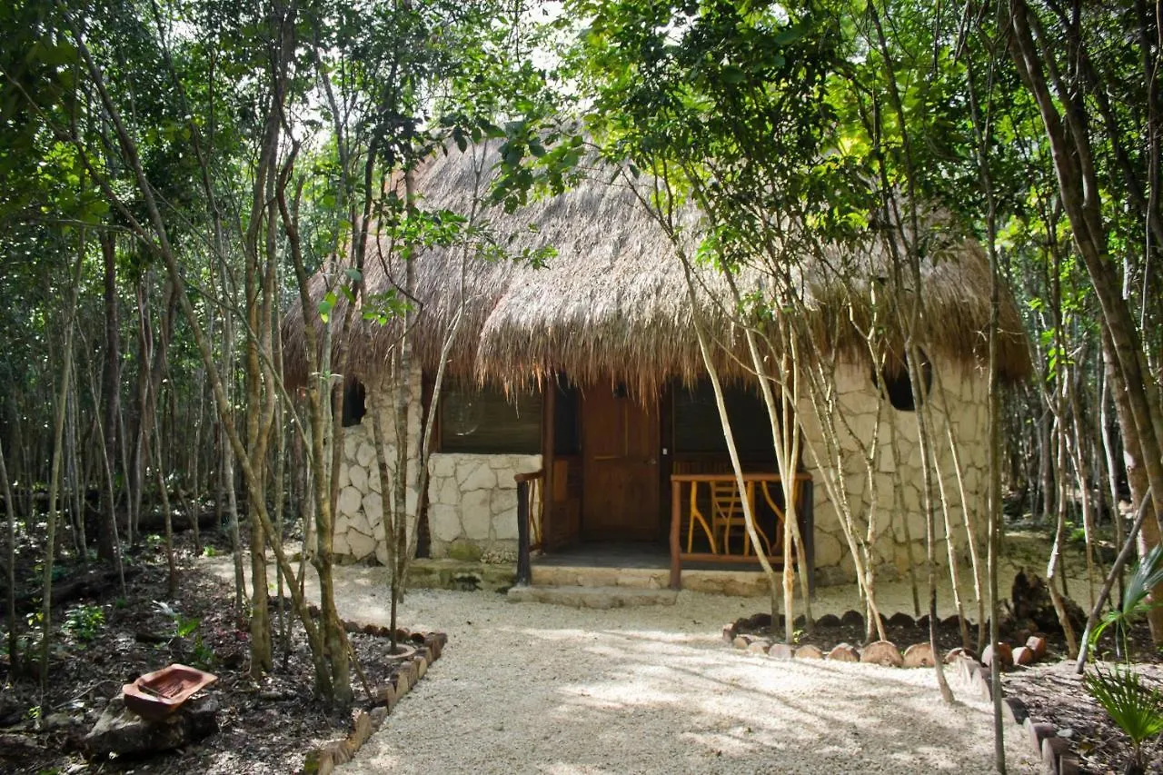 Aldea Maya-Ha Cabañas con cenotes Puerto Morelos 3*,  México