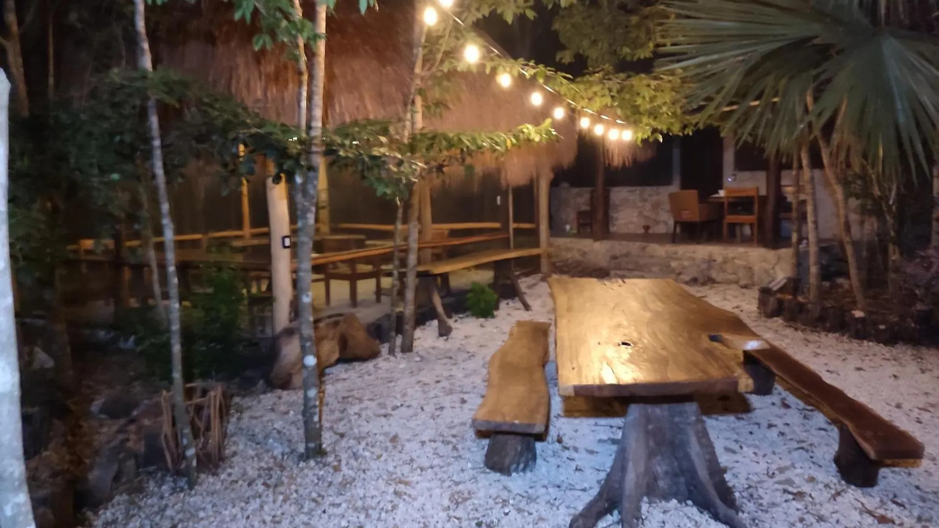 Aldea Maya-Ha Cabañas con cenotes Puerto Morelos México