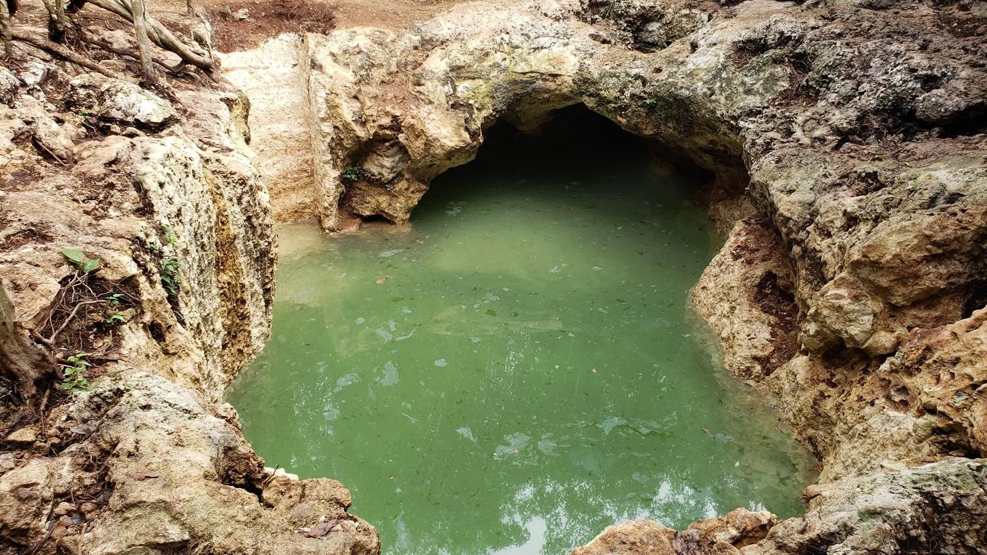 Aldea Maya-Ha Cabañas con cenotes Puerto Morelos