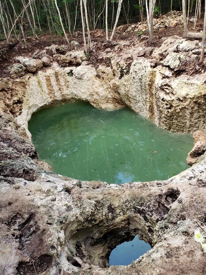 Camping Aldea Maya-Ha Cabañas con cenotes Puerto Morelos