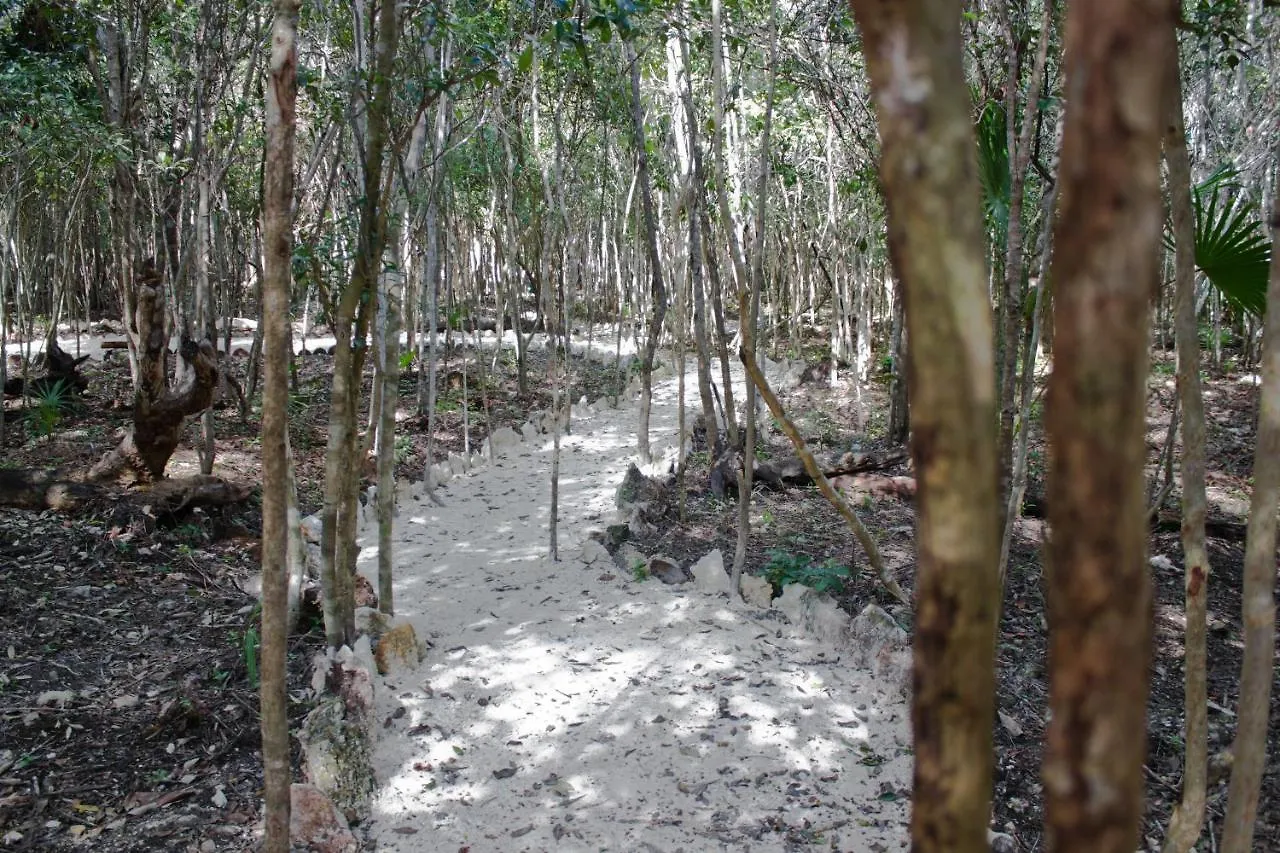 Aldea Maya-Ha Cabañas con cenotes Puerto Morelos