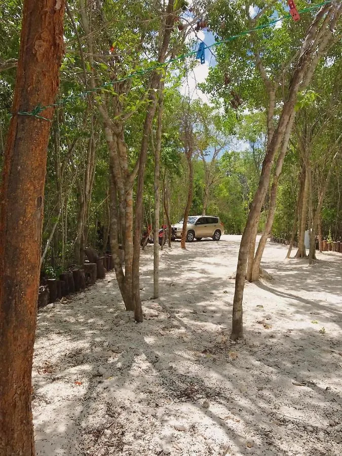 Camping Aldea Maya-Ha Cabañas con cenotes Puerto Morelos