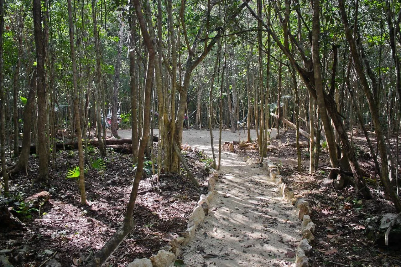 Aldea Maya-Ha Cabañas con cenotes Puerto Morelos Camping