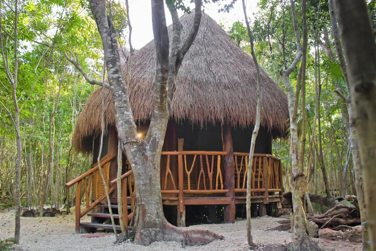 Aldea Maya-Ha Cabanas Con Cenotes Puerto Morelos