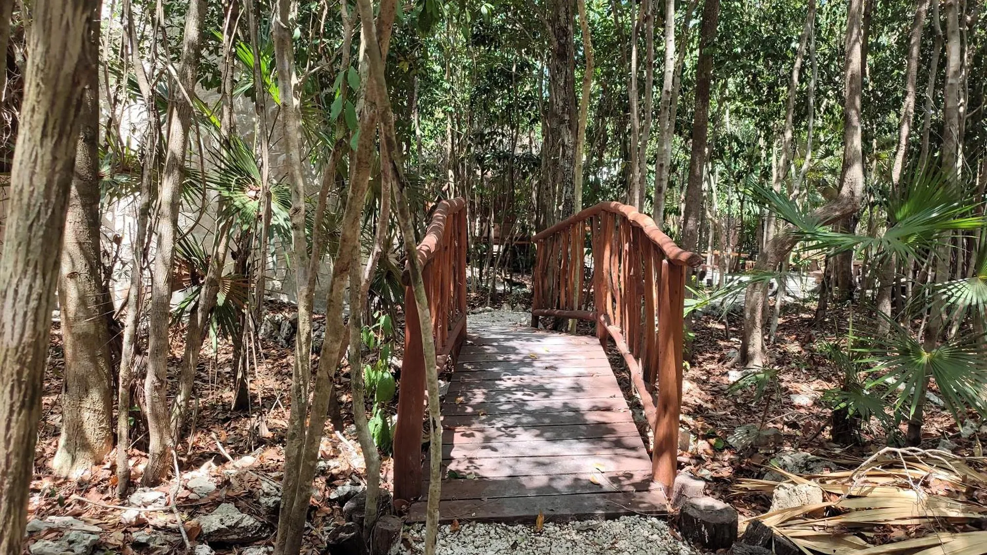 Aldea Maya-Ha Cabanas Con Cenotes Puerto Morelos Campsite