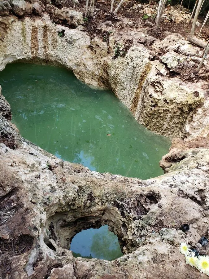 Aldea Maya-Ha Cabanas Con Cenotes Puerto Morelos